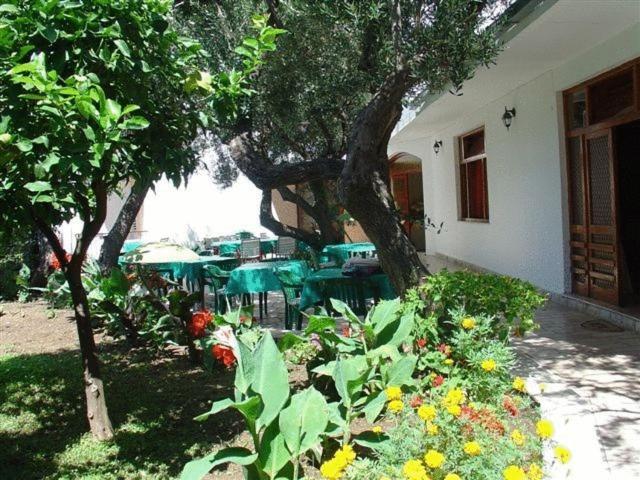 Pension Vice Carnac Ngoại thất bức ảnh