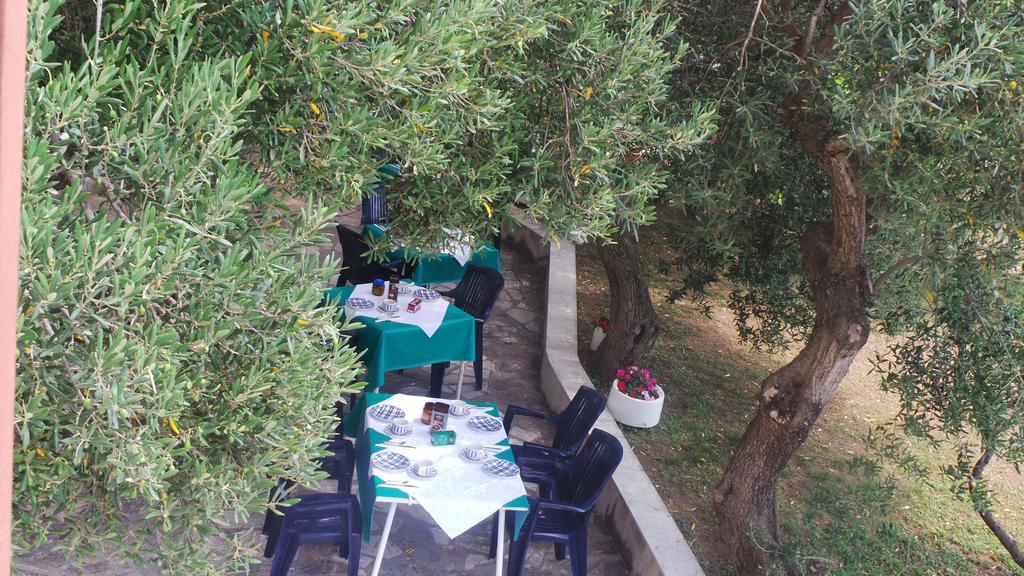 Pension Vice Carnac Ngoại thất bức ảnh